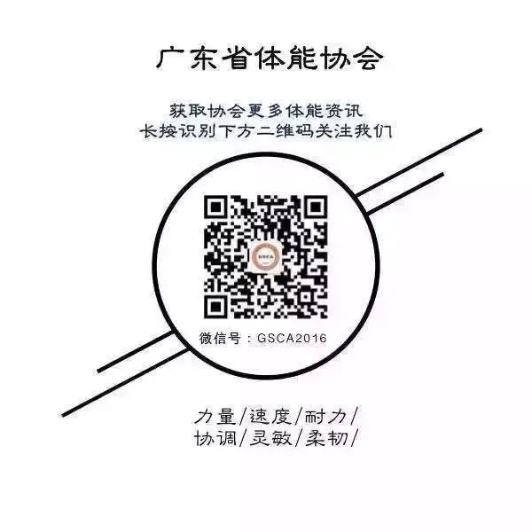 为什么篮球训练咨询能帮助提升技能_0
